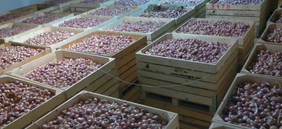 Government will give 50% super subsidy on opening onion storage