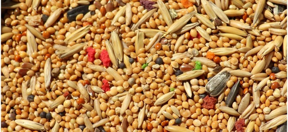 80% strong subsidy will be available on the cultivation of coarse grains