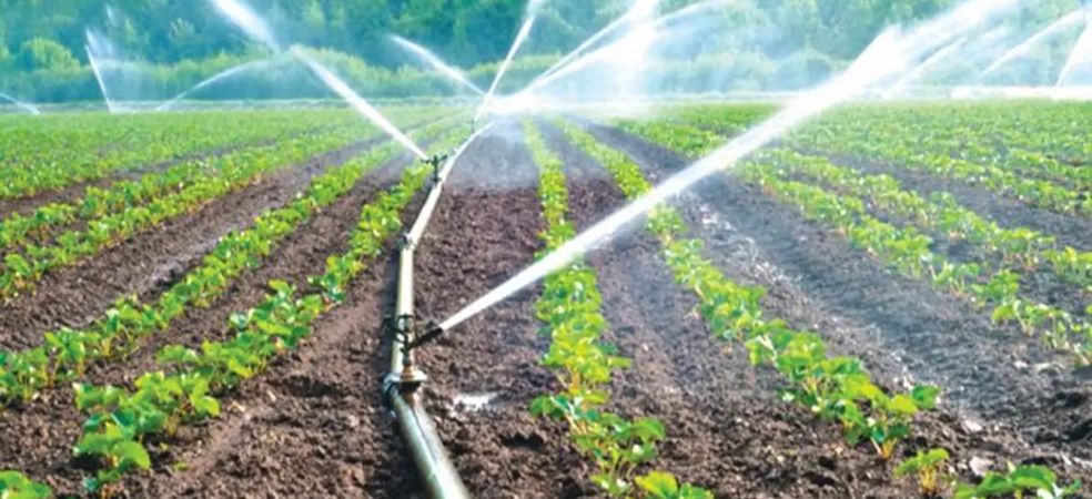 Drip and sprinkler sets will get a 75% subsidy