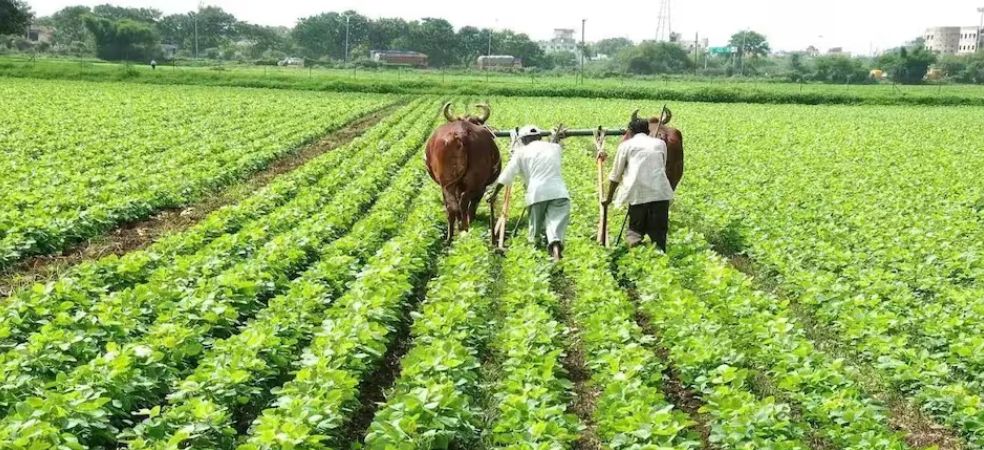 Farmers of this state are getting bumper subsidy for organic farming