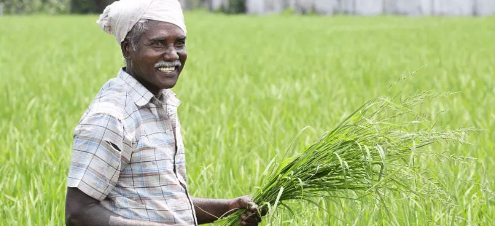 50 thousand farmers will get subsidy of 5-5 thousand rupees