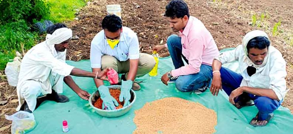 Benefits of seed treatment with fungicide, insecticide and rhizobium in soybean