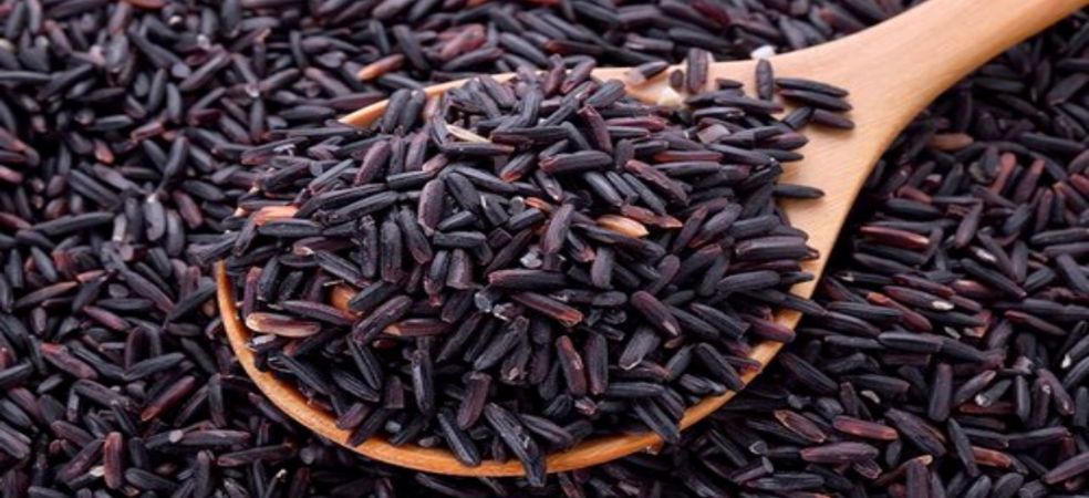 Black rice will give more profit than white rice