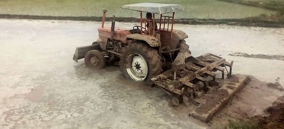 There are many benefits of Puddling in paddy crop