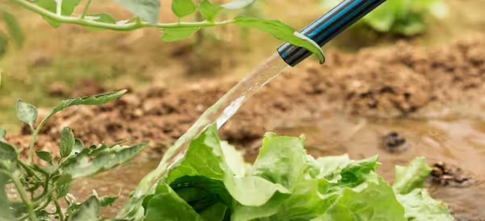 Up to 90% subsidy on this new irrigation technology