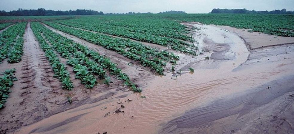 Soil erosion causes damage to the soil of the farm