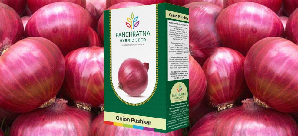 Pushkar seeds of Pancharatna are amazing