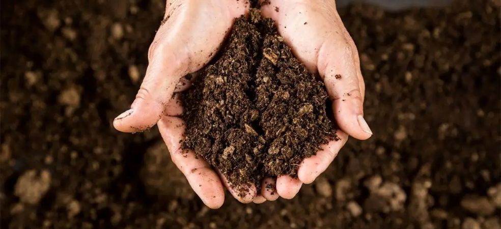 Importance of Organic Carbon for soil