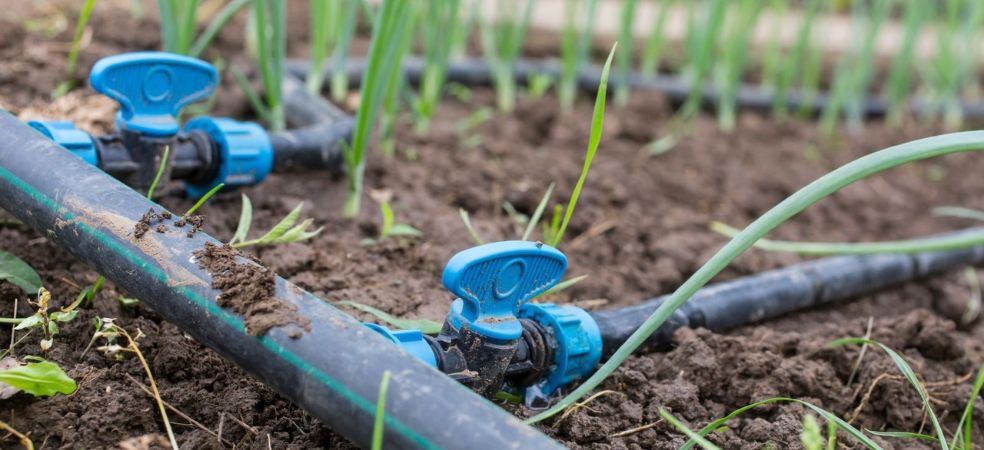 Get drip, sprinkler and pipeline sets at 40 to 55 percent subsidy