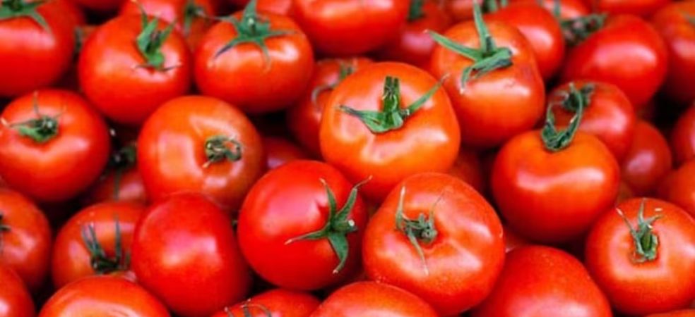 Tomato mandi rates,