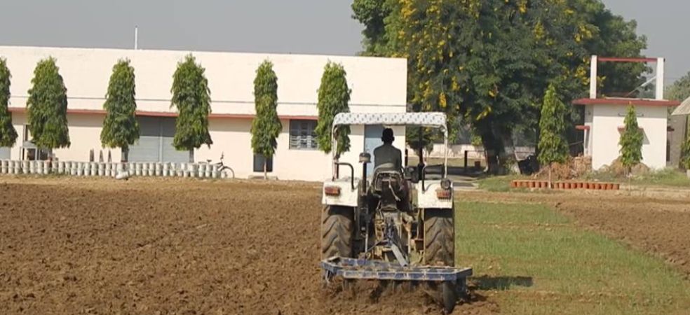 Prepare the field like this before sowing in pea farming