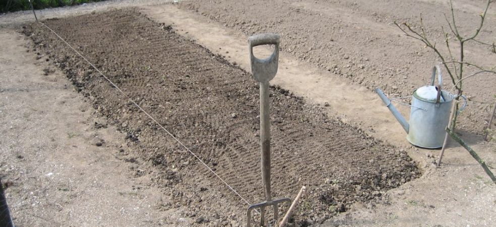 Prepare beds for onion nursery like this