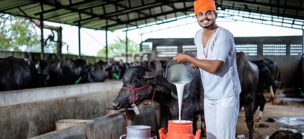 Grant of up to Rs 31 lakh on opening a dairy