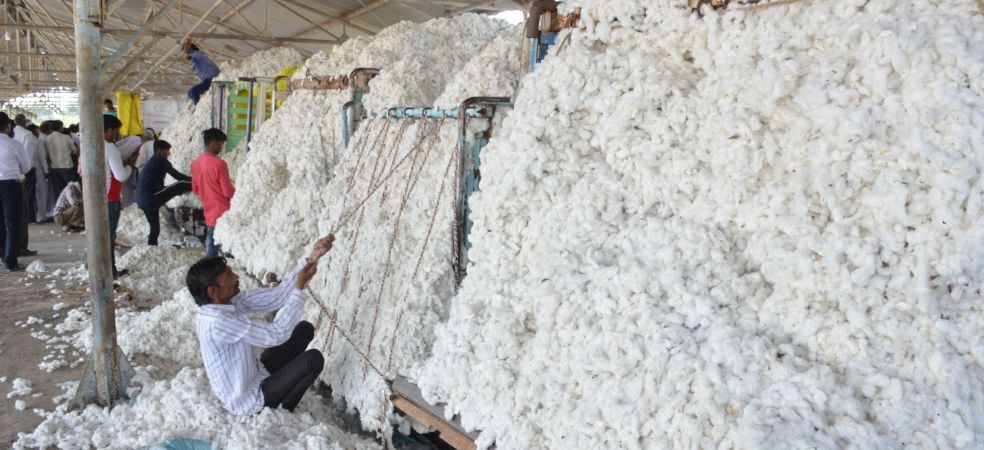 Cotton Mandi Bhav