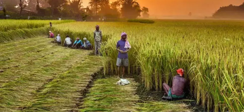 Now Indian farmers will be able to do farming in African countries