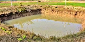 Farm Pond Scheme