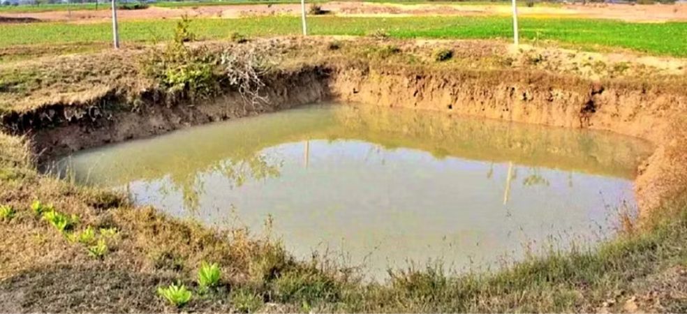 Farm Pond Scheme