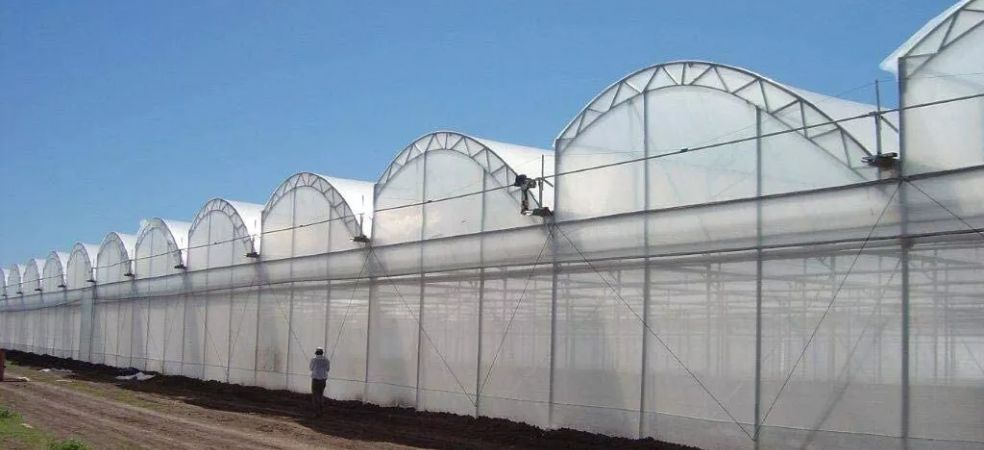 polyhouse and shade net subsidy