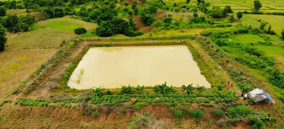 Farm Pond Scheme