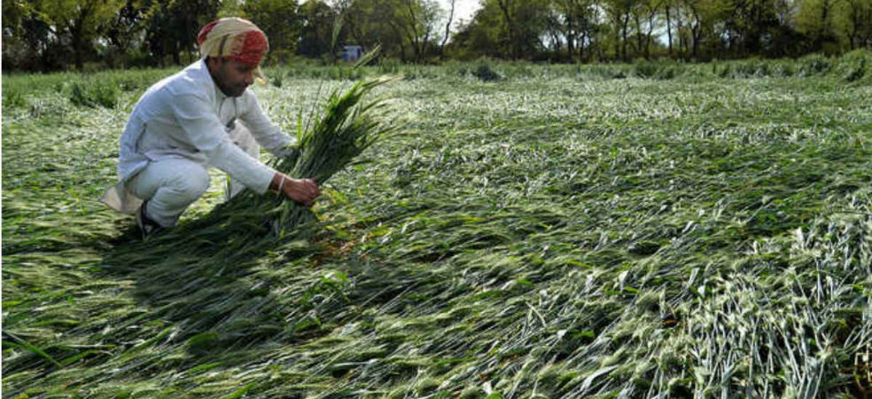 PM Crop Insurance Scheme