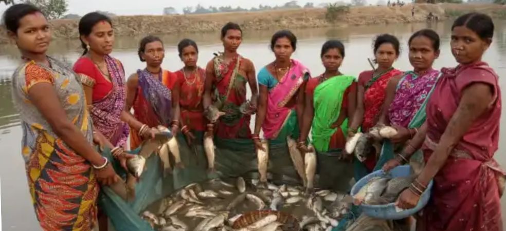 Women of this state are getting bumper subsidy for fish farming