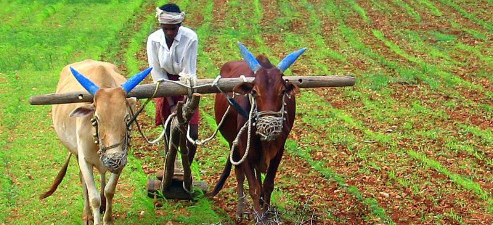 Farmers to Receive ₹5000 Each as Government Boosts Organic Farming