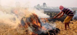 Heavy fine will be imposed on burning stubble