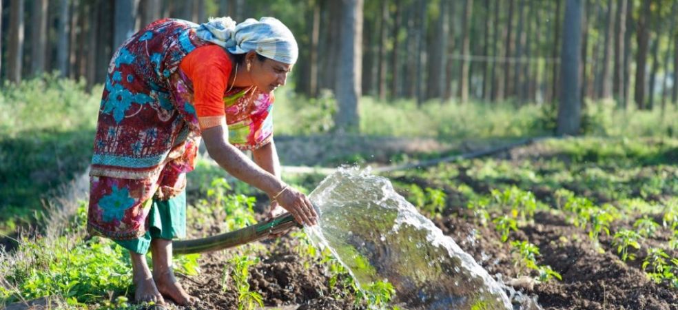 National Natural Farming Mission