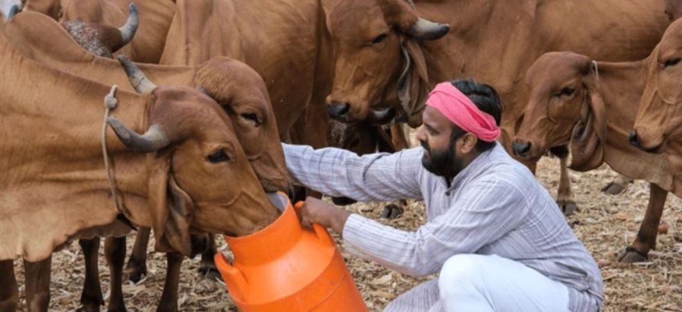 Mukhyamantri Dudharu Pashu Praday Yojana